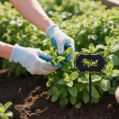 CUTHOLLOW 8PCS Food Spices Garden Plant Markers, Metal Plant Labels - style: Food Spices