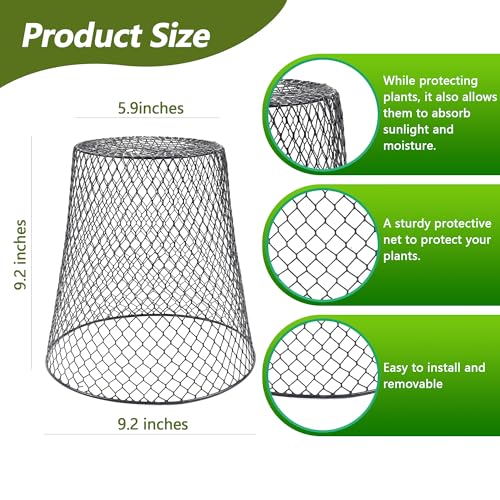 10 Pack 9.2 x 9.2 Inch Chicken Wire Cloche Plant Protectors from Animals - size: 10PCS-9.2"x9.2"