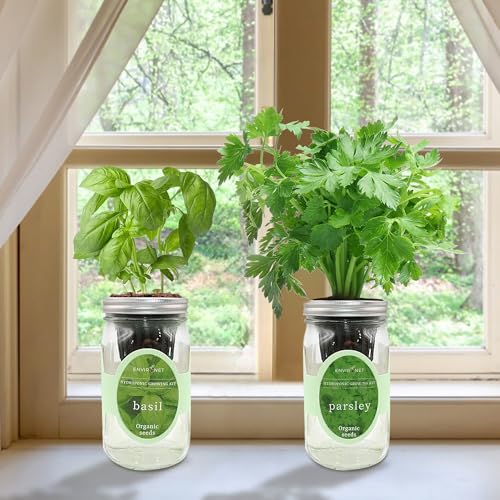 2-Pack Hydroponic Mason Jar Herb Garden Kit, Indoor Herb Garden Self-Watering Starter Kit (Basil, Parsley) - color: Basil, Parsley