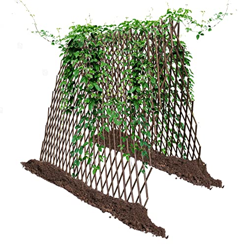 Nature Willow Trellis Expandable Plant Support Plant Climbing Lattices Trellis Willow Expandable Trellis Fence for Climbing Plants Support 36x92 Inch,Double Panel (1)