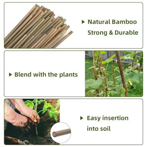 Bamboo Stakes,3Ft,65Pack,Bamboo Garden Stakes,for Tomato,Beans,Vegetable and Flowers, Potted Plants,Indoor and Outdoor Climbing Plants - size: 3Ft,65Pack