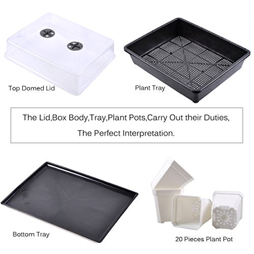 eZAKKA 14.6" x 11.8" Seed Starter Tray Kit with Dome, 20 Cells, White - color: White Pots