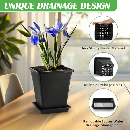 BTPLASTIK Square Plastic Planter 8 Inch, Plant Pots with Drainage Hole & Tray, 10 Pack Modern Decorative Garden Pot with Saucer, 1 Gallon Flower Pots Planters for Indoor Outdoor Plants - size: 8 INCH / 10P