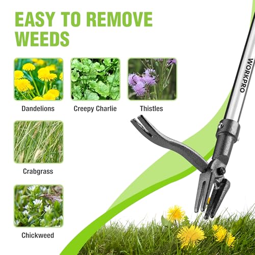 WORKPRO 11.5" Dandelion Weeder Puller Tool + Weed Puller Tool with Long Adjustable Handle (33", 46"), Garden Weed Remover Tool, Easy for Weeding, Detachable Dandelion Picker for Lawn/Yard/Garden