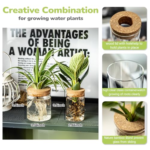 Glass Propagation Stations for Plants -Desktop Flower Vases,Propagation Flower Vases Set – 6 Large & 6 Small for Plant Cuttings,for Living Room, Bedroom Decoration,Home,Office Decor (12)
