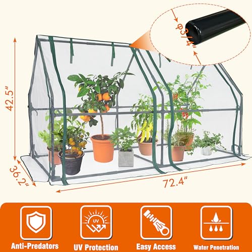 Gardzen Mini Greenhouse with Zipper Mesh Cover 71.7"(L) x36.2(W) x42.5(H) - size: 71”(L) x36”(W) x42”(H)