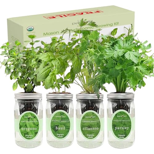 Hydroponic Herb Growing Kit Set, Self-Watering Mason Jar Herb Garden Starter Kit Indoor, Grow 4 Kinds of Herbs from Seeds (Cilantro,Basil,Parsley&Oregano) - color: Cilantro,Basil,Parsley&Oregano