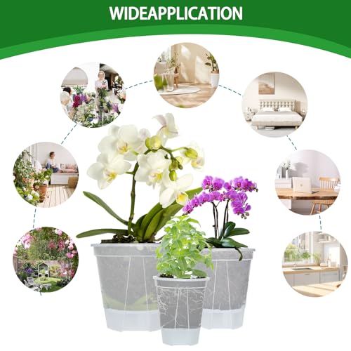 Cdd's Path 6-Pack Bare Root Planter Self Watering Pots Set with Holes for Indoor/Outdoor Plants, 2 Each of 5, 6 and 7 Inch Planter Pot with Watering Hole/Reservoir and Air Pipes, Clear - size: 5/6/7 inch-6 Pack