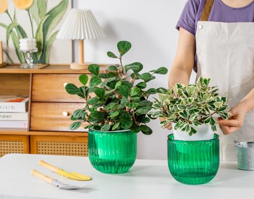 Melphoe Self Watering Pots for Indoor Plants Planter, 6.5 Inch 2 Pack Planters Self Watering Plant Pots for Flower, Houseplants, Succulent, African Violets and Cactus with Drainage - color: Emerald, size: 6.5''