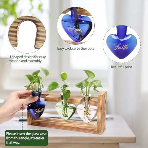 Plant Terrarium Propagation Stations Hydroponics - color: Color 1(Faith Hope Love)