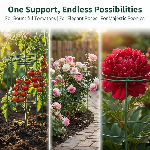 Flower Support Cage, Plant Climbing Support, Peony Plant Support - 4Pack 11x16 Inch Heavy-Duty Four Legs Peony Cage for Roses, Hydrangeas, Tomatoes (11"x16")