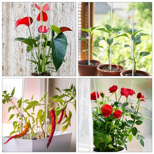 18IN Plant Stakes, Plant Sticks 20PCS Acrylic Clear Plant Support Stakes - size: 18 Inches
