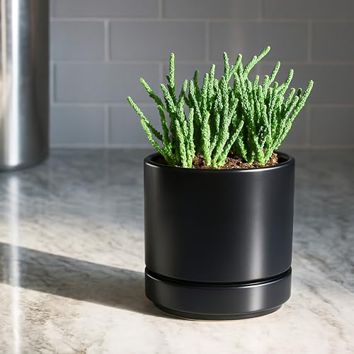 D'vine Dev 2-Pack Ceramic Pots with Saucers, Black, 4.7 in, 94-V-B-2 - color: Black, size: 4.7 Inch