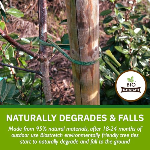 Bio-Stretch Soft Tree Ties & Garden Tape for Young Trees, 16M Green - size: Extra Wide 52 ft / 16M