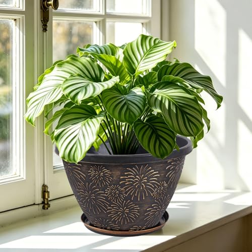 Nooulap 4 Pack 10 Inch Plant Pots Drainage Holes and Saucers - color: Firework Imitation, size: 10 inch