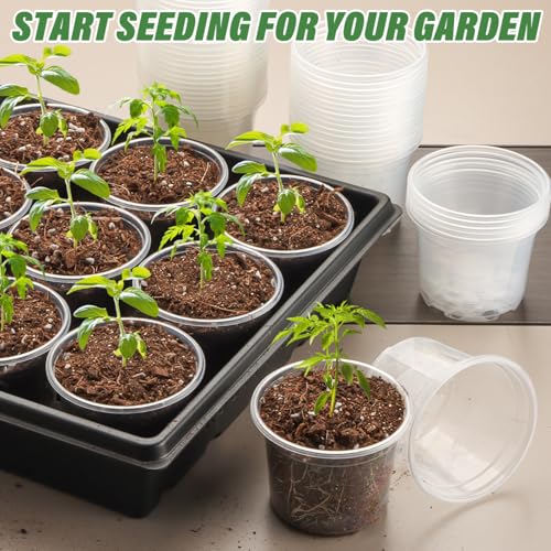 RooTrimmer Clear Seedling pots 100-Pack 3.2 Inches Round for Seeds Starter Pots, Seeds Germination Transparent Clean Pots with Drainage Holes(100 Pcs, 3.14Inch) - size: 3.2Inch 100P