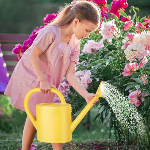 1 Gallon Watering Can for Indoor Plants, Garden Watering Cans for Outdoor Plant House Flower, Modern Plant Watering Can Large Long Spout with Sprinkler Head - color: Yellow, size: 1 Gallon