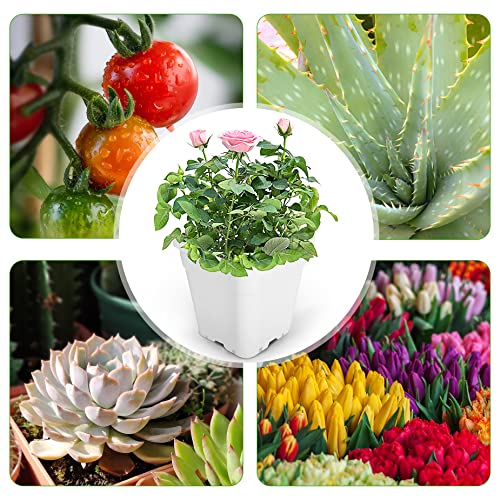 HOSTIC Plant Nursery Pot 10-Pack 5 Gallon White Plastic Garden Planter Pots Flower Seedling Injection Molded Container Seed Starting Pot for Indoor Outdoor Plants Seedlings Flowers Vegetables - size: 5 Gallon