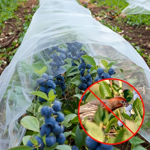 GonLei Garden Netting 2Pack 10X30FTPlants Garden Mesh Berry Netting Outdoor Mosquito Net,Garden Bed Fruit Tree Blueberry Shrubs Netting Plant Covers Row Vegetables Protection Barrier Net - color: Garden Netting 2pack, size: 10x30FT