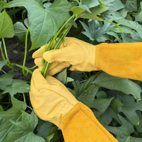 Long Leather Gardening Gloves Unisex, Thorn-Proof Gauntlet Yard Work Gloves for Pruning & Digging - size: Small