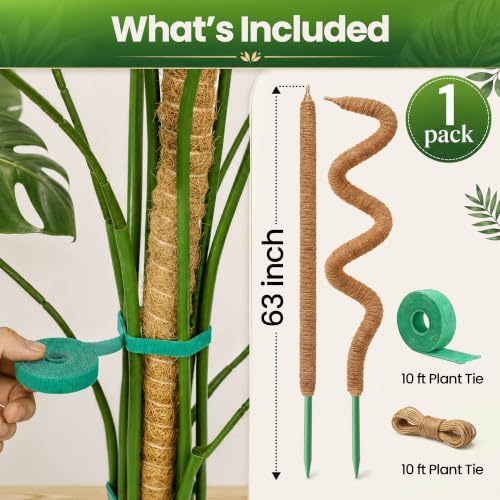 63'' Moss Pole Monstera Plant Support for Climbing Indoor Plants - size: 1-Pack (63 in)