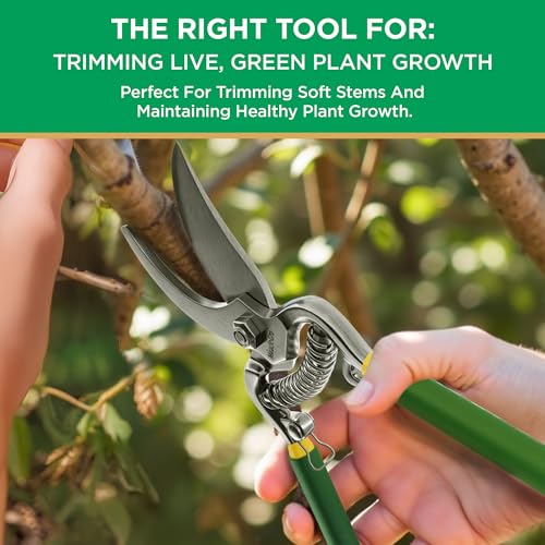 Miracle-Gro 8 in. Bypass Pruning Shears with Belt Pouch – 1/2 in. Cutting Capacity Hand Pruner with Carbon Steel Blade and Comfort Grip – Garden Tool for Live Plants and Soft Stems - style: Bypass Pruner with Belt Sheath
