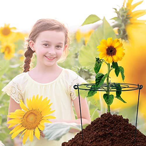 5 Pack 16"x24" Peony Cages Plant Support Stakes Grow Through Grid Grow Through Hoops, Metal Flower Plant Brace Support Ring for Heavy Blossom - size: 16"x24" Pack of 5