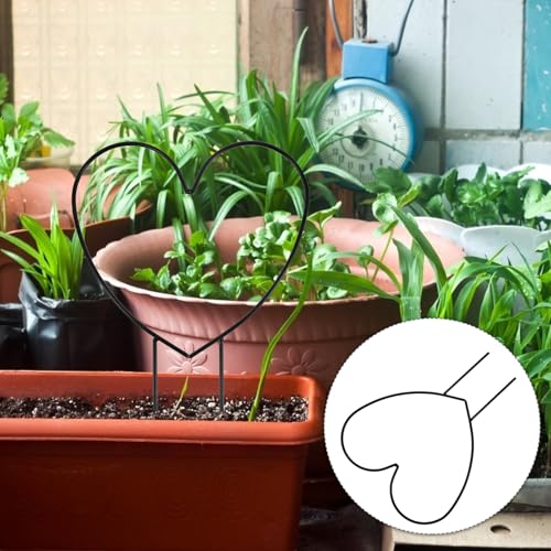 2 Pack Heart Shaped Trellis for Climbing Plants Indoor, Decorative Metal Wire Potted Plant Support for Garden, Rust-Proof Small Vine Trellis, Black