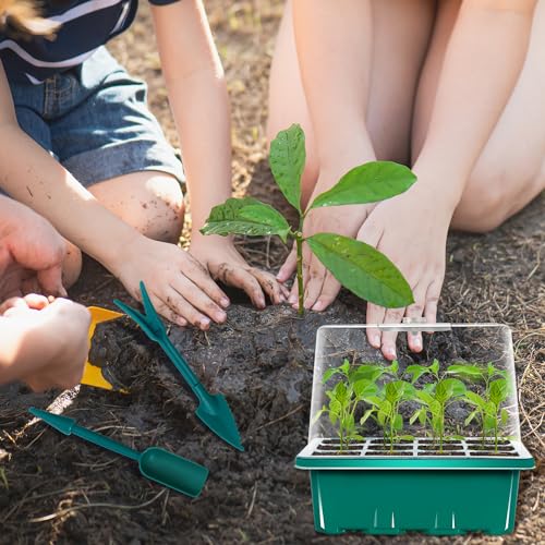 6-Set Seed Starter Tray with Grow Light, Seed Starting Trays Kits with Timing Controller Adjustable Humidity Domes Heightened Lids(12-Cells Per Tray) - color: Green 6-set