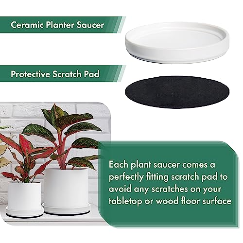 D'vine Dev Ceramic Plant Saucer/Drainage Tray, 7.1 in, White, 97-T-A-3 - color: White, size: 7.1" (1 Pack)
