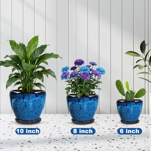Ceramic Plant Pots With Saucer & Drainage Hole, 8 inch Indoor Flower Pots - color: Blue, size: 8 inch