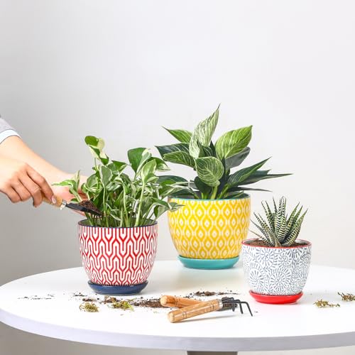 Selamica Ceramic Plant Pots, 4.6+5.6+6.5 Inch Planters with Drainage Holes & Saucer, Flower Pots for Indoor Plants, Home Decor, Set of 3, Assorted Colors - color: Assorted Colors, size: 4.6+5.6+6.5 Inch