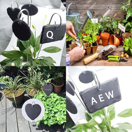 Slate Plant Labels Garden Markers Signs Labels with Stainless Steel Stake & Marker Pen Waterproof Slate Plant Labels for Flowers, Herbs, Potted Plants, Seed (Rectangular, 5PCS) - size: 5PCS, style: Rectangular