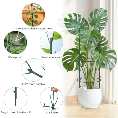 Monstera Plant Support Stakes, 30 Pcs Stackable Plant Support Stakes Sticks Poles for Indoor & Outdoor Plants, Climbing and Potted Plants, Stem Supports, Pothos