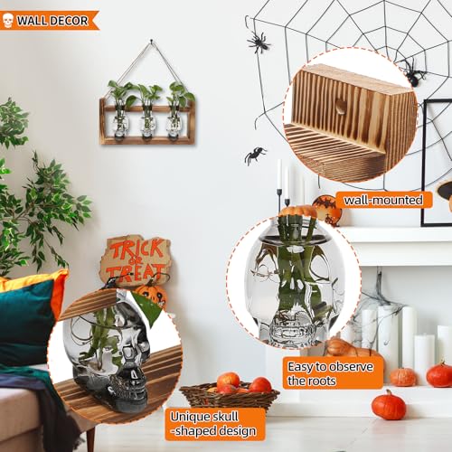 Plant Terrarium Propagation Stations Skull Planter Vase Skulls Decor - color: Grey
