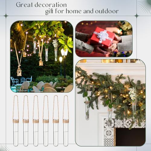 Baderke 12 Pack Plastic Hanging Propagation Station Tubes, Natural Color - color: Transparent