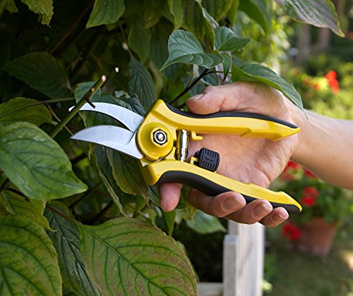 Dramm 18046 ColorPoint Bypass Pruner with Stainless Steel Blade, Berry - color: Berry, style: Bypass Pruner