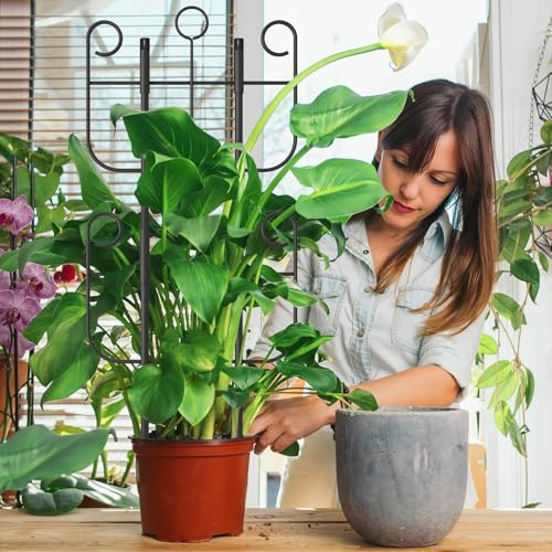 4 Pack Trellis for Climbing Plants Indoor, Expandable Heavy-Duty Metal Trellis for Potted Plants Outdoor, Flowers Vine Ivy, Sturdy Houseplant Pothos Plant Climber Support - size: 4 Pack-17in(H)x12.6in(L)