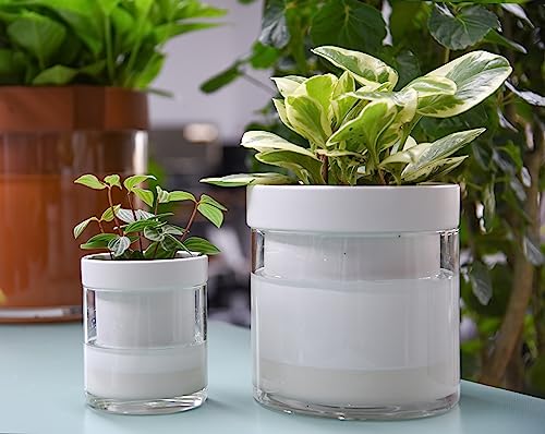 Phoenix Vine 6 Inch 4 Inch Self Watering Planter, White Terracotta Clay Pots with Glass Reservoir for Indoor Plants, Herbs, Flowers, 52-B-G-46 - color: White, size: 4+6 Inch