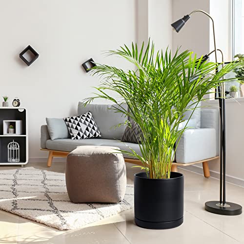 D'vine Dev 12 Inch Ceramic Planter Pot, Black, 94-O-F-2 - color: Black, size: X-Large