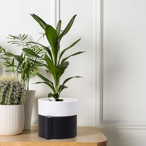 Phoenix Vine 6.5 Inch Self-Watering Planter Pot with Terracotta Insert, Deep Water Reservoir, and Ceramic-Alike BPA-Free Plastic Pot for Plant, Modern Planter for Houseplants, Black/White, 53-C-S-7 - color: Black/White, size: 6.5 Inch