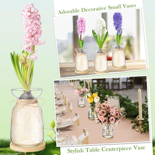 FoldTier 4 Sets Hyacinth Glass Vase with Bamboo Coaster Rope Hyacinth Avocado Growing Bud Vase Decorative Glass Flower Vases for Centerpieces Bulb Forcing Plant Containers Home Office Table Decoration