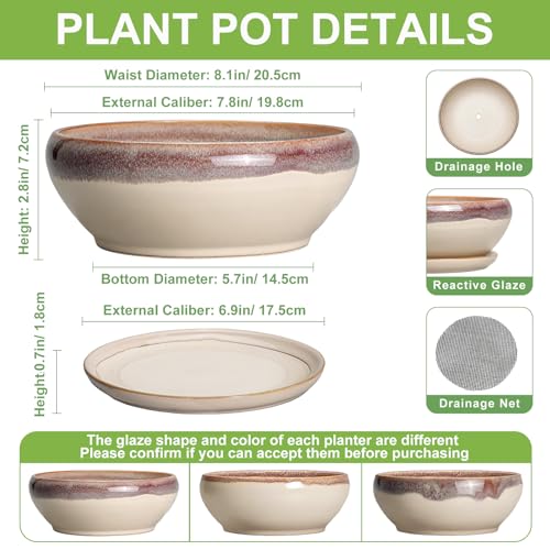SQOWL Succulent Pots 8 Inch - Ceramic Bonsai Pots for Indoor Plants, Round Shallow Plant Pot with Drainage Hole and Saucer, Bowl Planter Outdoor, Patio Decor, Plant Lover Gifts, Beige - color: Beige, size: 8 Inch