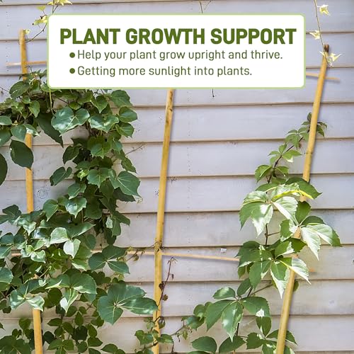 Avalution 10 Pack Bamboo Trellis for Climbing Plants, 4 FT Garden Ladder Trellis for Potted Plants Indoor, Fan-Shaped Small Plant Support Trellis for Houseplants Ivy Hoya Vine Monstera - color: Fan-Shaped, size: 10 PACK-48 inches