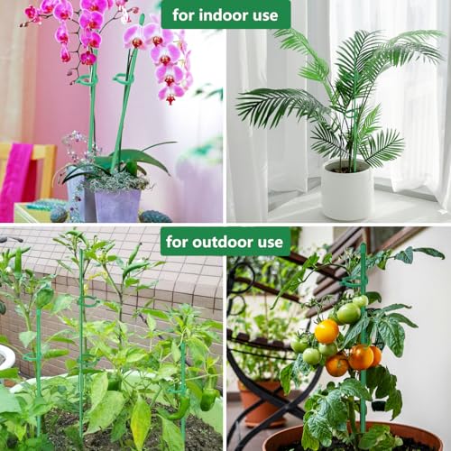 Belit 8 Pack Small Plant Support Plant Stakes, Adjustable Garden Single Stem Support Stake, Planter Support Ring for Orchid, Rose, Peony, Peppers and More, DIY 31.5 inch - size: 31.5Inch
