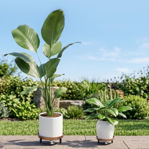 Plant Caddy With Wheels 12" Metal Plant Saucers for Indoors 310 Lb Capacity - size: 2 PACK 12.12 INCH