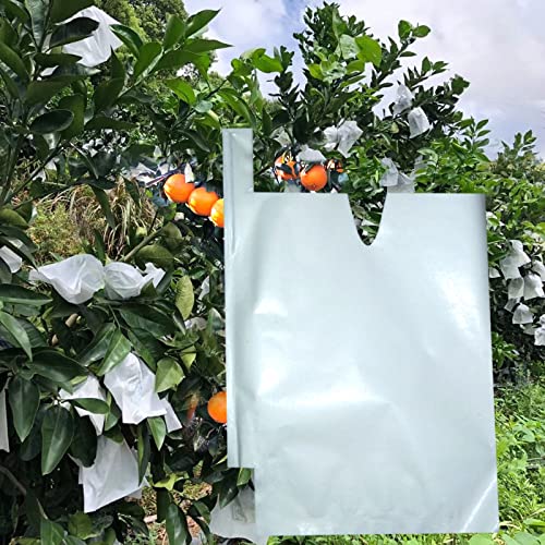 Fruit Protection Paper Bags - 100pcs White Protection Covers 6.2x7.7inch, Orchard, Frost, Plants (16x20) - size: 16x20 cm