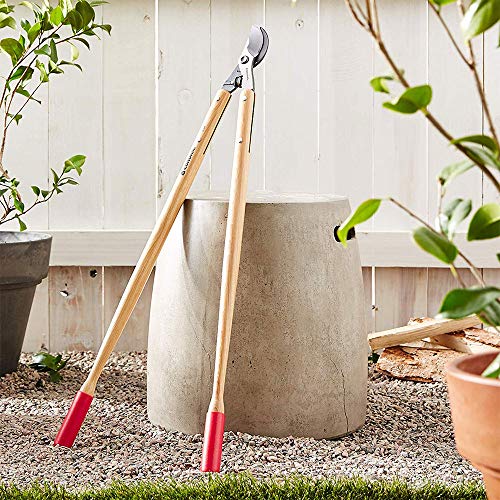 Corona WL 6470 ClassicCUT Bypass Lopper, 36-Inch - size: 36-Inch Overall Length