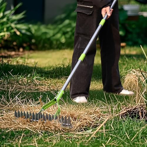 WORKPRO Thatch Rake, 15-Inch Thatching Rake with Telescoping 5FT Handle