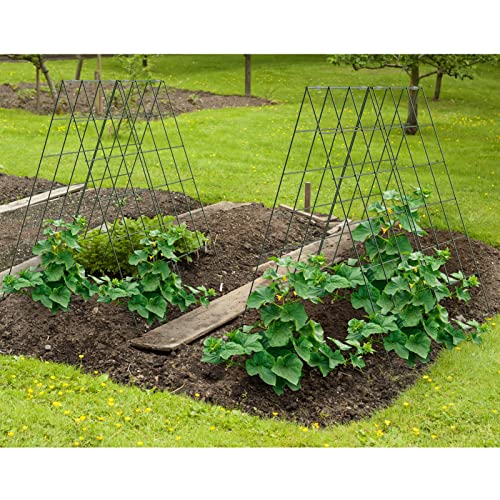 AGTEK 2 Packs 18" x 46" Foldable Cucumber Trellis for Cucumber, Climbing Plants, Vegetable Flowers - size: 36"W x 46"H